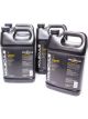 Molecule Detailer - Race Car Cleaner - 1 gal Bottle - Set of 4