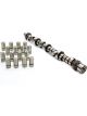Mopar Performance Camshaft / Lifters Purple Shaft Hydraulic Flat T