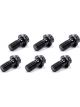 Quarter Master Flywheel Bolt Kit 11 mm x 1.50 Thread 0.999 in Long 12