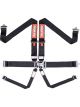 Racequip/Safequip Harness 6 Point Latch and Link SFI 16.1 Pull Down Ad