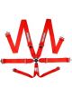 Racequip/Safequip Harness Sportsman 6 Point Camlock SFI 16.1 Pull Down