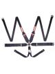 Racequip/Safequip Harness 6 Point Camlock SFI 16.1 Pull Down Adjust Bo