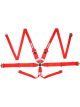Racequip/Safequip Harness 6 Point Camlock SFI 16.1 Pull Up Adjust Bolt