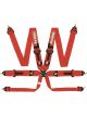 Racequip/Safequip Harness 6 Point Camlock FIA Approved Pull Up Adjust