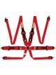 Racequip/Safequip Harness HNR / HANS 6 Point Camlock FIA Approved Pull