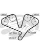 Gates PowerGrip Timing Belt