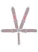 Simpson Safety Harness 5 Point Latch and Link SFI 16.1 Pull Down Adjus