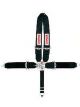 Simpson Safety Harness 5 Point Latch and Link SFI 16.1 Pull Down Adju