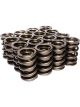 Comp Cams Valve Spring Elite Race Dual Spring / Damper 502 lb/in Spr