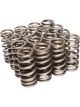 Comp Cams Valve Spring Race Street Beehive Spring 258 lb/in Spring R