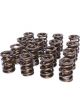 Comp Cams Valve Spring Dual Spring 550 lb/in Spring Rate 1.100 in Coil…  