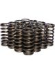 Comp Cams Valve Spring Single Spring 134 lb/in Spring Rate 1.040 in Co…  
