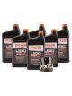 Driven Racing Oil Motor Oil LS30 5W30 Synthetic Oil Filter Included 6