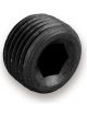 Earls Fitting Plug 3/8 in NPT Allen Head Alloy  Black Anodize Pair