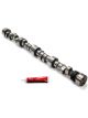 Edelbrock Camshaft Rollin Thunder Hydraulic Roller Lift 0.632 / 0.648 in…