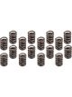 Edelbrock Valve Spring Sure Seat Dual Spring / Damper 1.130 in Coil Bind…