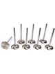 Ferrea Intake Valve 6000 Series 1.940 in Head 11/32 in Valve Stem 4.9