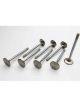 Manley Intake Valve Street Flo 2.020 in Head 0.342 in Valve Stem 4.91