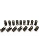 Manley Valve Spring Professional Dual Spring / Damper 507 lb/in Spri