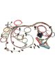 Painless Wiring EFI Wiring Harness - GM LS-Series 1998-2002 - Kit