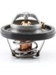 Tridon Thermostat