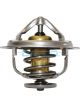Dayco Thermostat