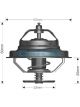 Dayco Thermostat