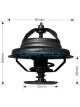 Dayco Thermostat