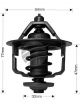 Dayco Thermostat