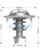 Dayco Thermostat