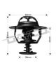 Dayco Thermostat