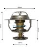 Dayco Thermostat