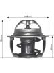 Dayco Thermostat