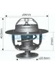 Dayco Thermostat