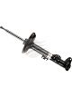 Bilstein Strut Front RH Side