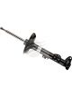 Bilstein Strut Front RH Side