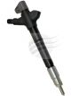 AFI Diesel Fuel Injector