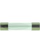 Jaylec Pack 100 3Ag Glass Fuse 10Amp Externally Soldered