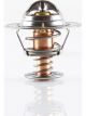 Tridon Thermostat