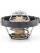 Tridon Thermostat