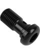 Proflow Black Allen Head Bolt M10 x 1.0 20mm Long