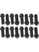 Proflow Header Bolts, Hex Head, 3/8 in. Custom Black Oxide, Chevrole