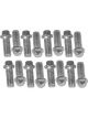 Proflow Header Bolts, Hex Head, 3/8 in. Custom Stainless Steel, Chev