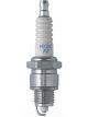 NGK Spark Plug