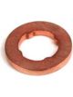 Bosch Lower Seal Ring Suit Injector 0445110250 0445110249