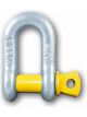 ARK D-Shackle 13mm 1/2 Galvanised 2000kg - Bulk