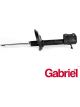 Gabriel Strut Rear RH Side