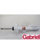Gabriel Strut Front RH Side