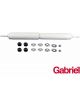 Gabriel Shock Front