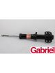 Gabriel Strut Front